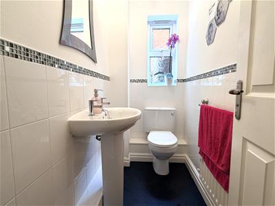 Picture 11